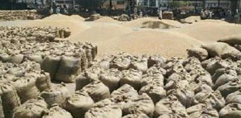 किसानों के प्रति मप्र सरकार का दोहरा रवैया,अनाज खरीदी केंद्रों पर हो रही धांधली !!