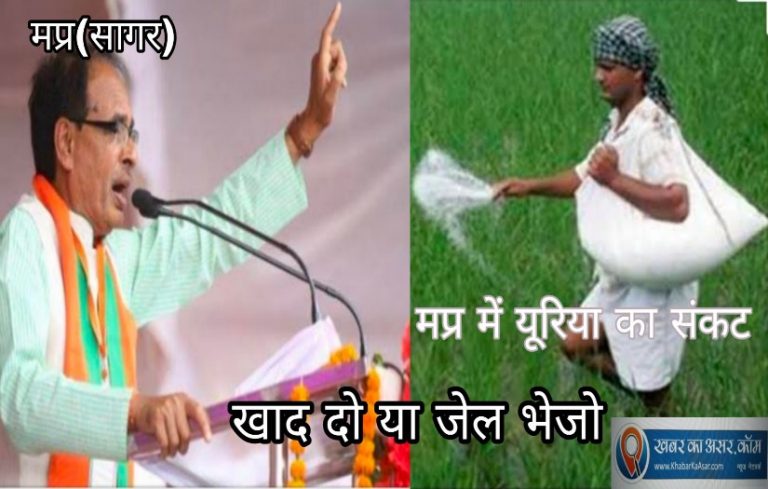 मप्र में यूरिया पर राजनीति तेज़-पूर्व मुख्यमंत्री कल होंगे सागर में देंगे इन नेताओं के साथ गिरफ्तारी
