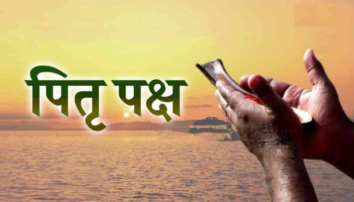 95b5696a-987b-47fb-a638-d3f3571487db_copy_700x400