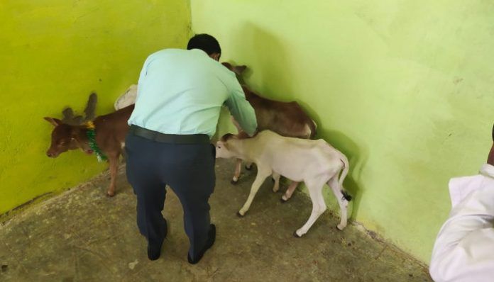 Hadli will make the cowshed 100 percent self-reliant - Collector Singh