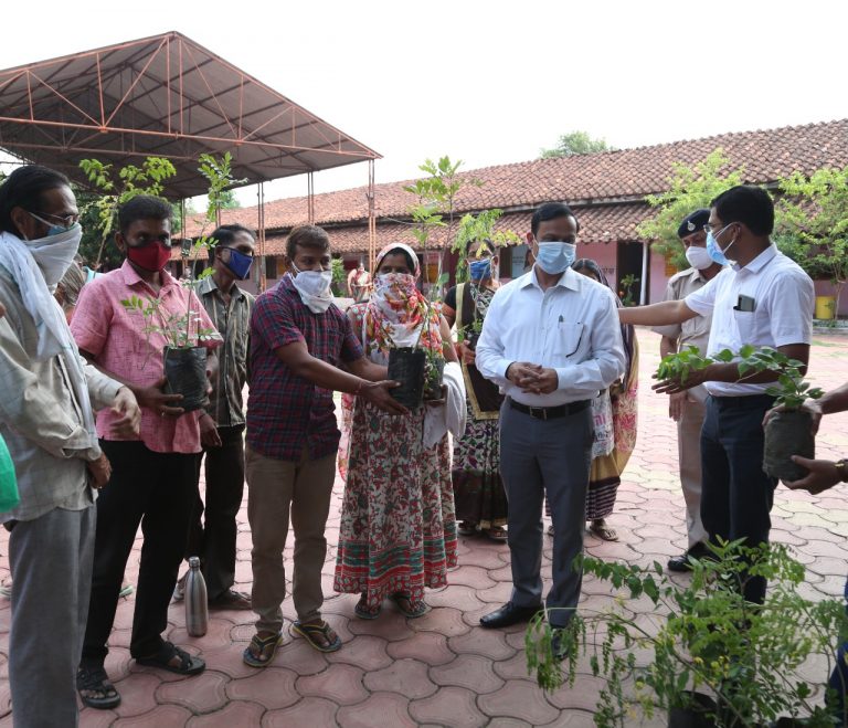 टीकाकरण के बाद लोग घर में पौधा रोपेंगे और उसकी देखभाल भी करेंगे- कलेक्टर दीपक सिंह