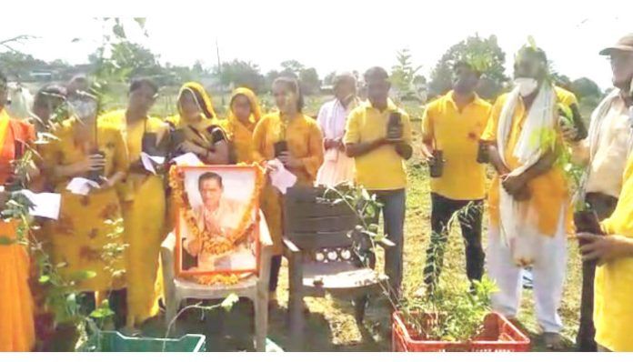 On the death anniversary of Gayatri Parivar, a massive tree plantation was completed under Vriksha Ganga Abhiyan.