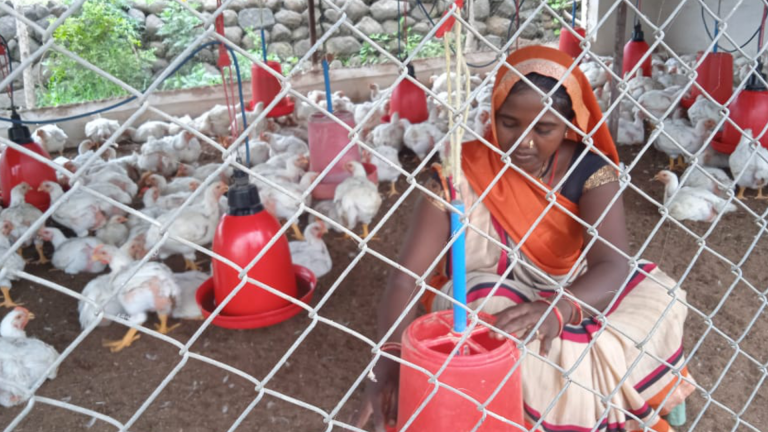 सुनीता पोल्ट्री फार्म चलाकर परिवार की जिम्मेदारी निभा रहीं