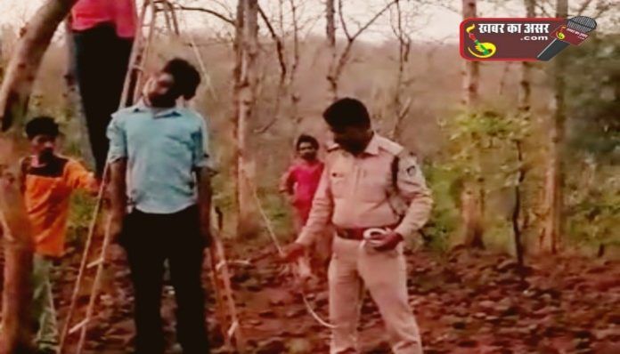 Picsart_22-05-28_20-18-06-590_copy_700x400