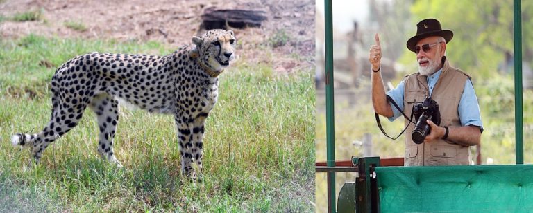 MP:  प्रधानमंत्री मोदी ने कहा कि आज 21वीं सदी का भारत पूरी दुनिया को संदेश दे रहा है