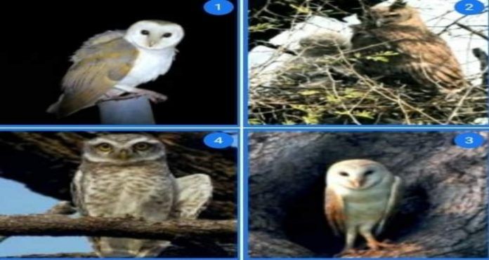 FB_IMG_1666459888644_copy_750x400