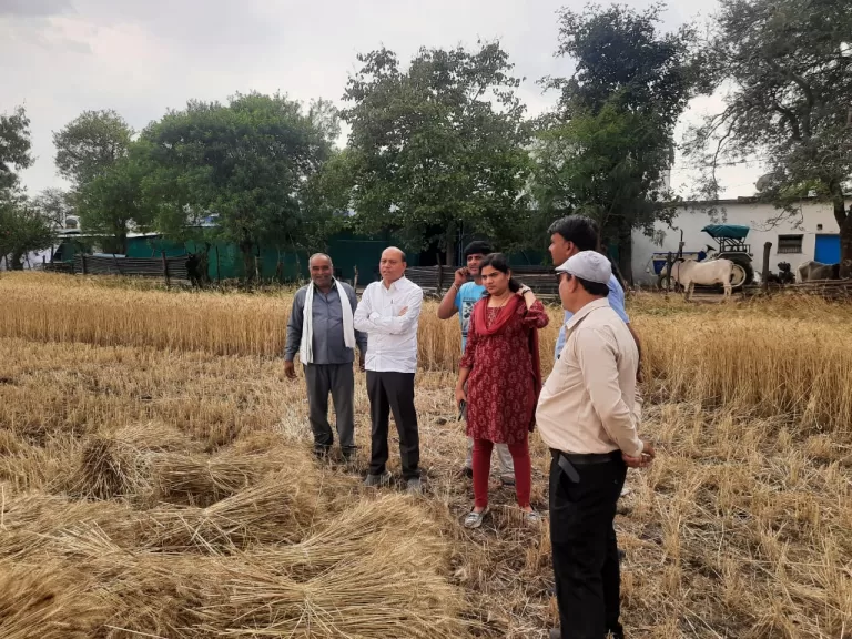 ओलावृष्टि से प्रभावित फसलों के बीच पहुचे विधायक लारिया बोले विधानसभा मेरा परिवार