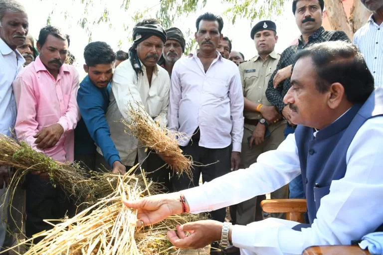 किसानों ने ओलों से खबर हुई फसलें मंत्री भूपेंद्र सिंह को दिखाईं कहा कुछ नही बचा