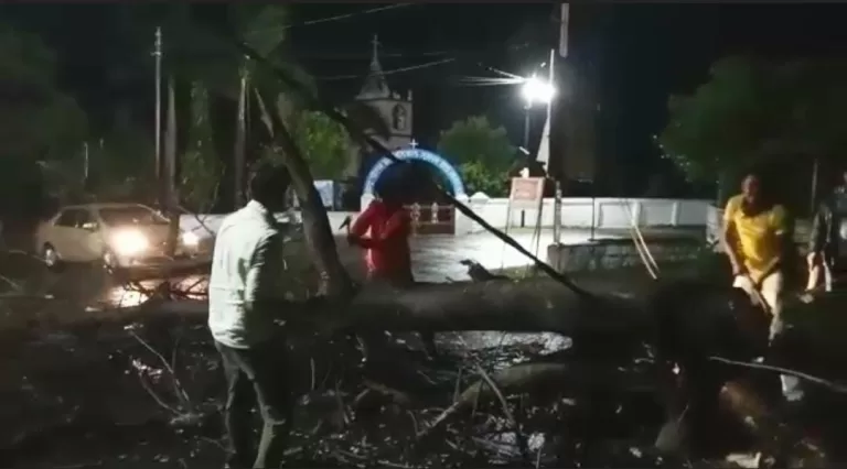 तेज हवाओं और बारिश से पेड़ धराशायी हुआ, बत्ती गुल हुई