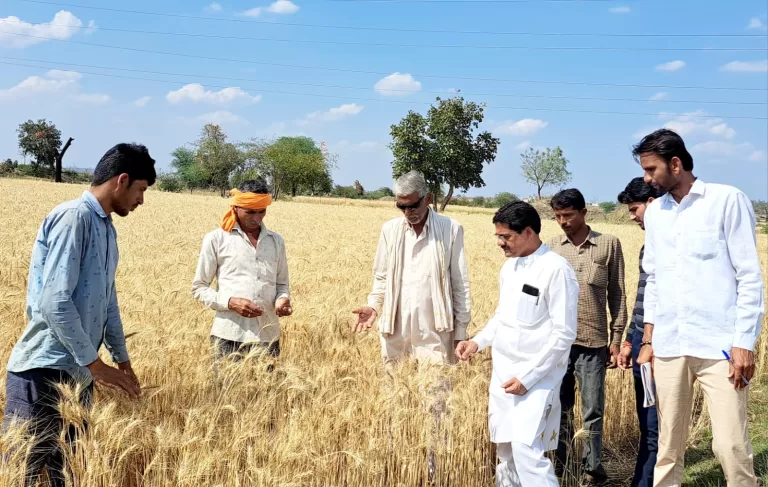 नरयावली के प्रभावित किसानों के साथ भेदभाव ना करे शासन-प्रशासन- सुरेन्द्र चौधरी