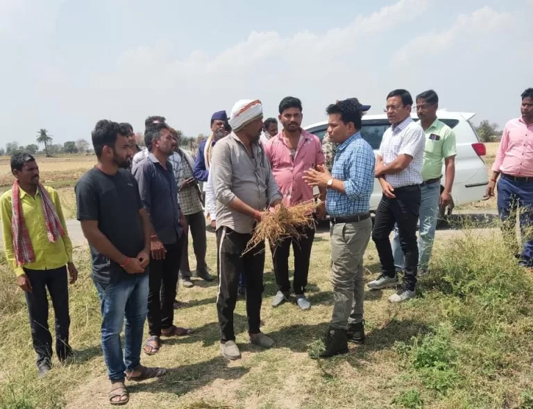 सागर: फसल नुकसान पर 32 हजार रुपये हेक्टेयर मिलेगा, कलेक्टर का खेतो में निरीक्षण