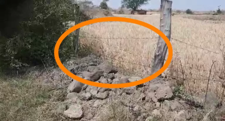 करंट लगने से दादी और नातिन की दर्दनाक मौत, गांव में छाया मातम