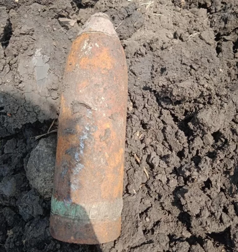 खेत में मिला जिंदा बम, दस्ते ने सुरक्षित ले जाकर फोड़ा, इलाका गूंजा