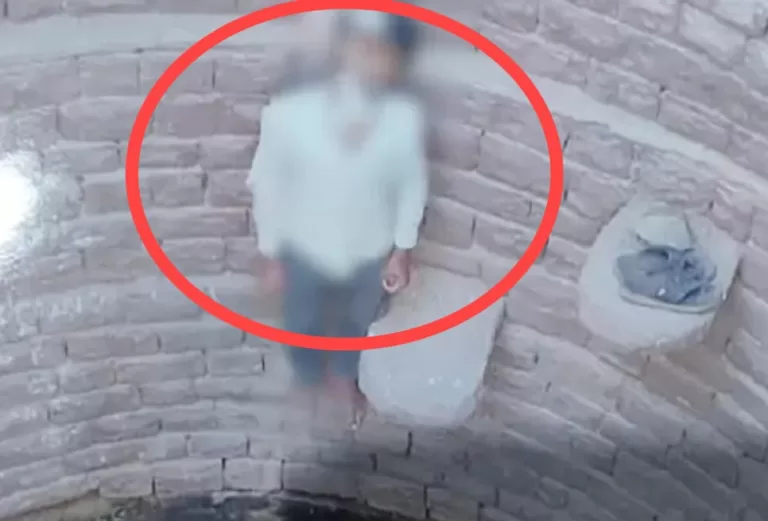 ट्रैक्टर ट्राली की टक्कर से गायें की मौत से आहत युवक ने आत्महत्या कर ली