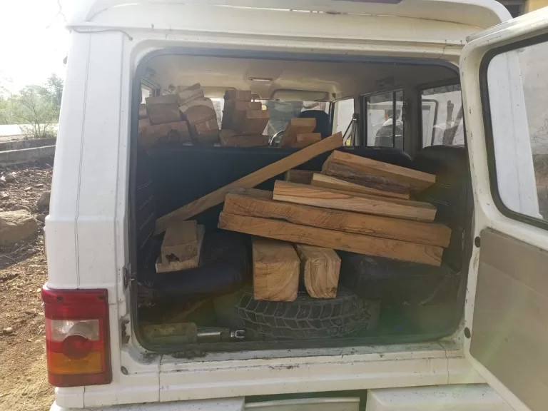 बोलेरों में अवैध सागौन लदी थी, घेराबंदी कर पकड़ा गया, दो आरोपी भी धराए