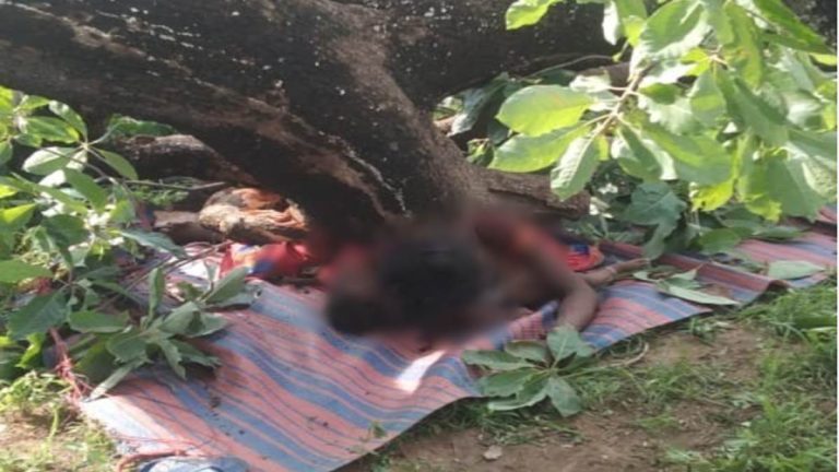 खेत की तकवारी कर रही महिला , पेड़ के नीचे बैठी थी, डाल गिरने से हुई मौत