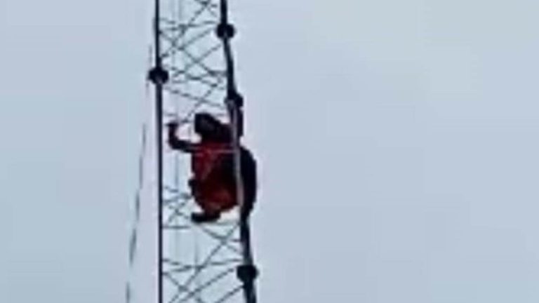 प्रेमी को पाने के लिए पति का घर छोड़कर आई महिला, टावर पर क्यों चढ़ गई 