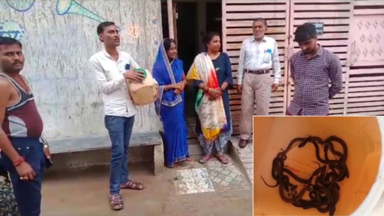 सागर में एक घर में थे 16 सांप ,जिन्हे रेस्क्यू कर पकड़ा