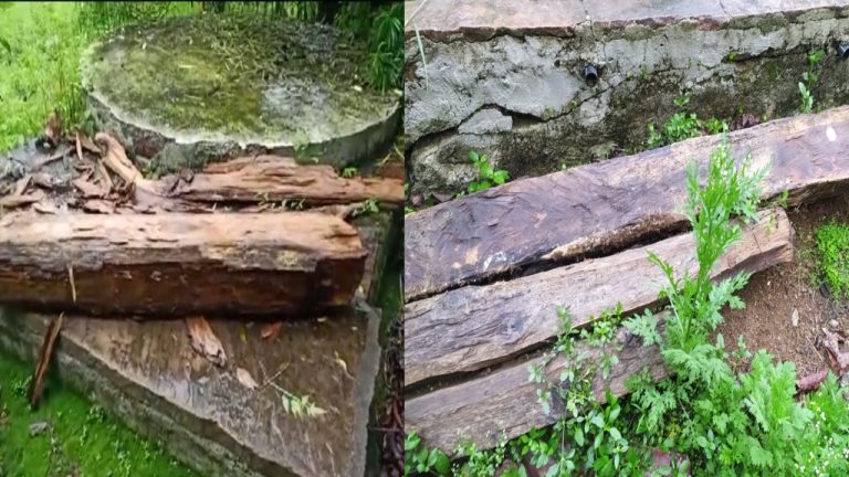 सुलभ कांप्लेक्स के टैंक पर छिपे रखी थी सागौन की सिल्लिया,वन विभाग ने की जप्त