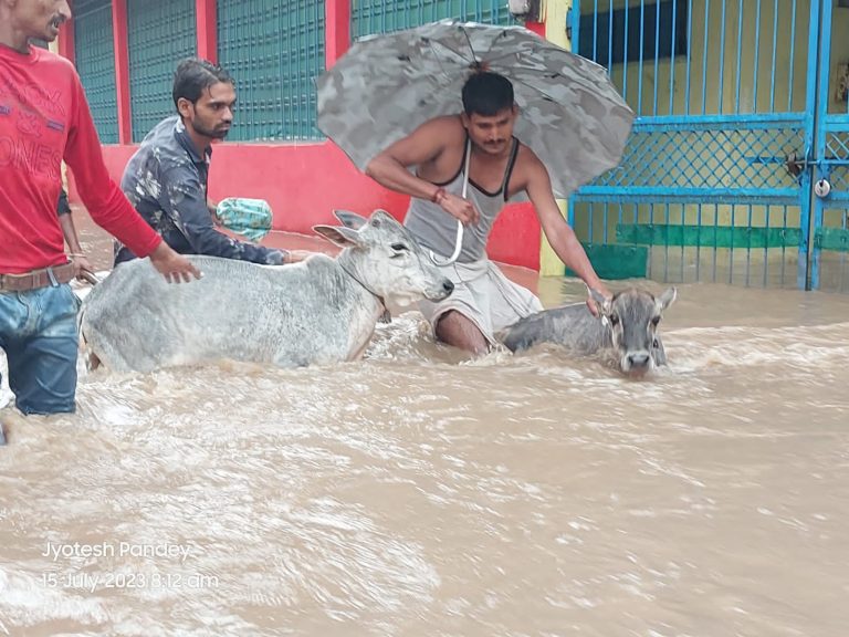3 घण्टे में 6 इंच बारिश, शहर तरबतर घरों दुकानों में भरा पानी,बारिश थमते ही उतर गया पानी