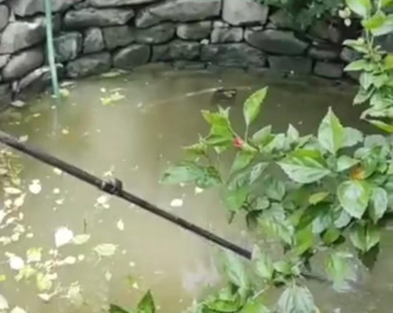 लापता सेवानिवृत्त एसएएफ कमर्चारी का शव कुँए से मिला, पुलिस जाँच में जुटी