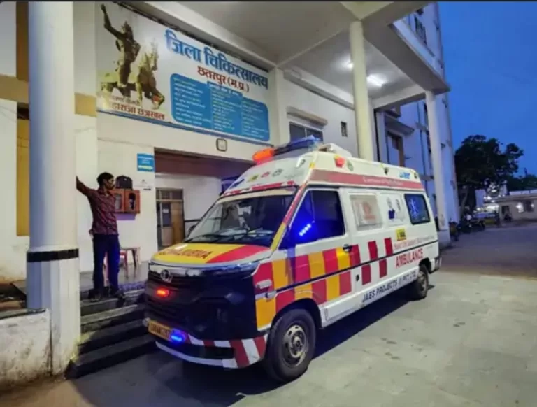 लड़की को कुत्ते ने काटा इलाज के दौरान हुई मौत, शरीर में निकला सांप का जहर