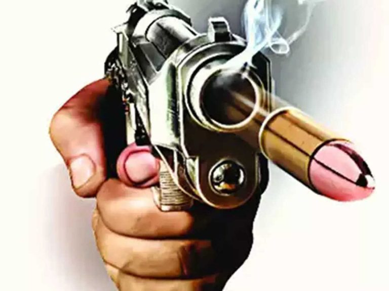 बच्चे को स्कूल से लेने जा रही महिला को बदमाशो ने मारी गोली,इलाज के दौरान हुई मौत 