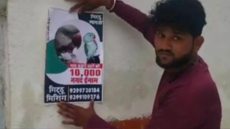 गुम हुए तोते को ढूंढ के लाओ और दस हजार का इनाम पाओ