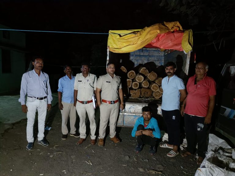 MP: वन विभाग की दो टीमों ने पीछा करके सागौन से लदी पिकअप पकड़ी