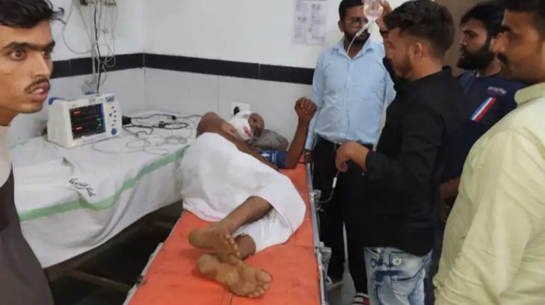 भैंस चराने गए बुजुर्ग पर भालू ने किया हमला, हुआ घायल इलाज जारी 