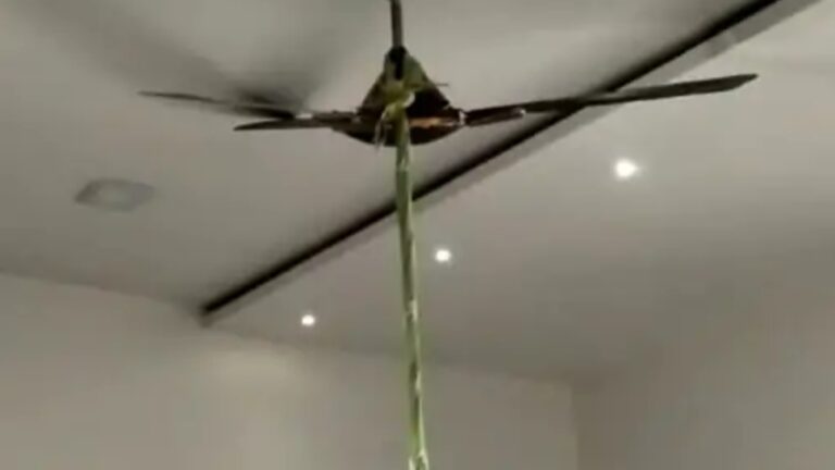 बैंक मैनेजर की पत्नी ने की आत्महत्या, सुबह फंदे में लटकती मिली लाश