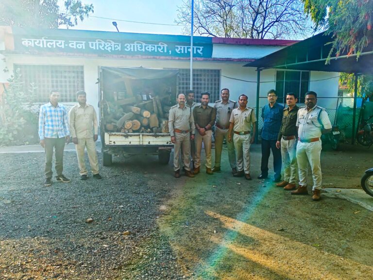 दो घरो में दविश, अवैध सागौन बरामद, वन विभाग की कार्यवाई