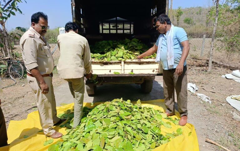 जंगल से तेंदूपत्ता चोरी करने वालों को वन अधिकारियों ने दी समझाईश