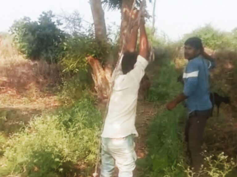 रंगे हाथ पकड़े गए बकरी चोर को ग्रामीणों ने सरेआम दी सजा