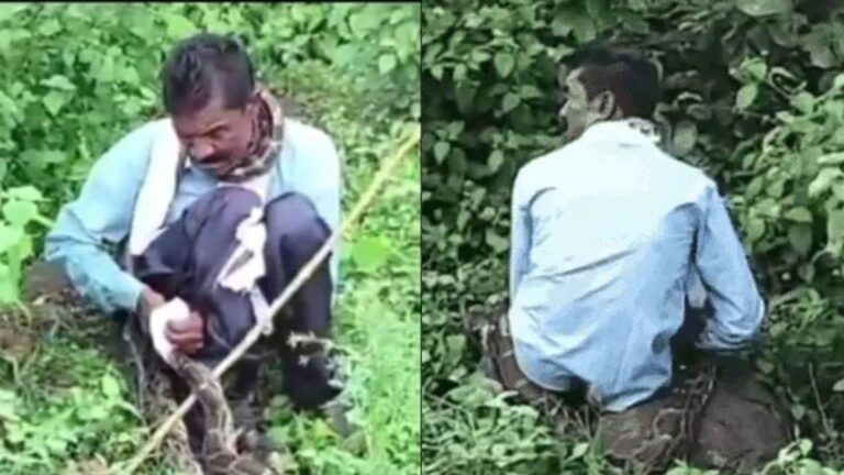 16 फीट लंबे अजगर का हमला, ग्रामीणों ने बचाई युवक की जान