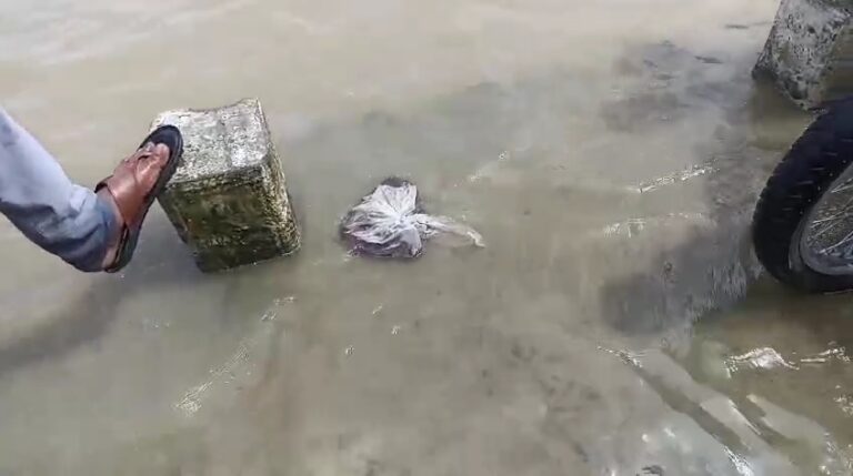 रहली नदी में मिला कटा हुआ हाथ, पुलिस ने शुरू की जांच