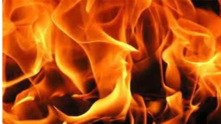 ऑक्सीजन प्लांट में ब्लास्ट, चार कर्मचारी झुलसे