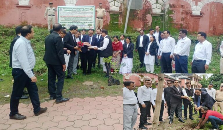 न्यायालय परिसर में वृहद वृक्षारोपण सम्पन्न, डीजे श्री शर्मा का अधिवक्ता संघ ने जन्मदिन मनाया