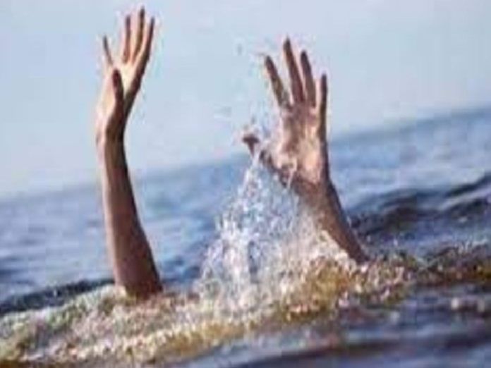 orig_41-1_1679268990