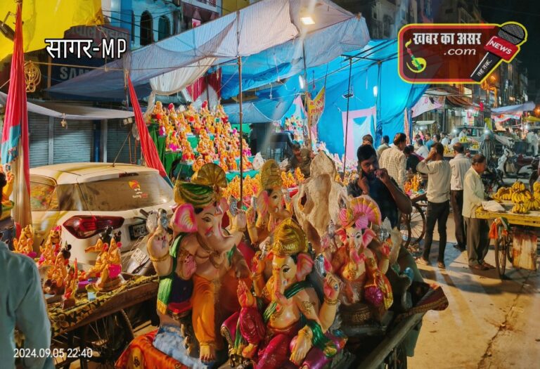 सागर में धड़ल्ले से बिक रही पीओपी की मूर्तियां, NGT के नियमों का खुला उलंघन