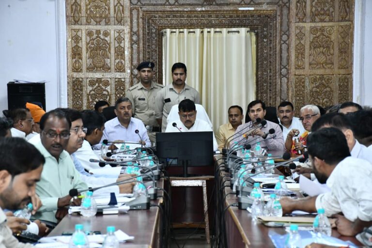 विभागीय योजनाओं का क्रियान्वयन तत्परता से किया जाए : ऊर्जा मंत्री