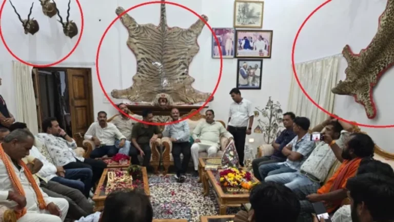 सागर में राठौर बंगले पर शेर की खाल, हिरण के सींगों की जांच दस्तावेज आये सामने