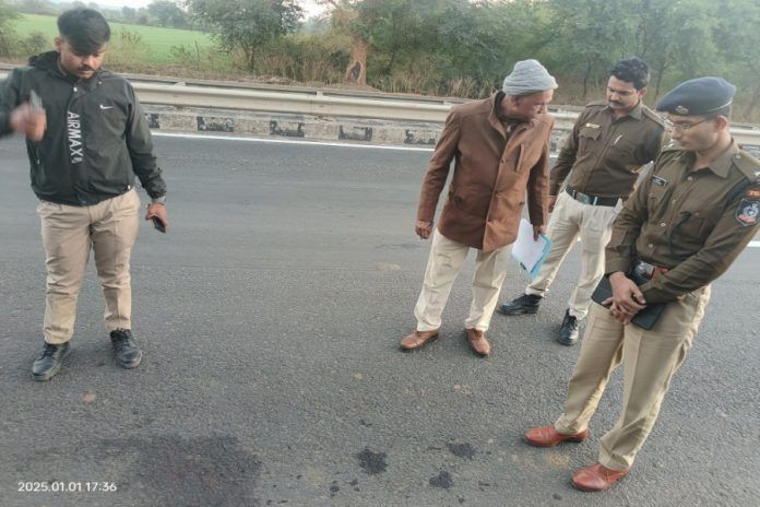 IMG20250101173654_copy_900x600