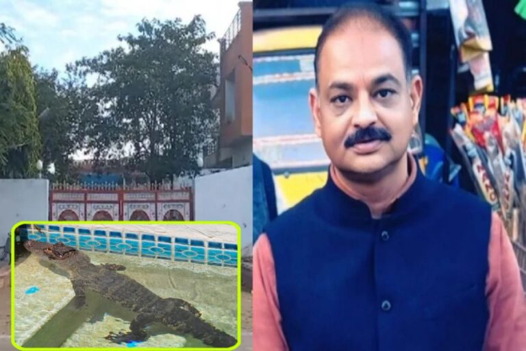 सागर में आयकर की छापेमारी में करोड़ो की टैक्स चोरी, 3 मगरमच्छ भी मिले !