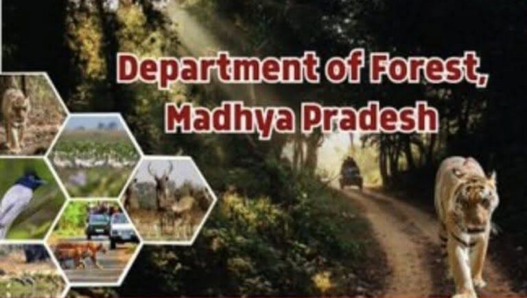 मध्यप्रदेश को मिलेगा जल्द ही एक नया टाइगर रिजर्व : मुख्यमंत्री डॉ. मोहन यादव