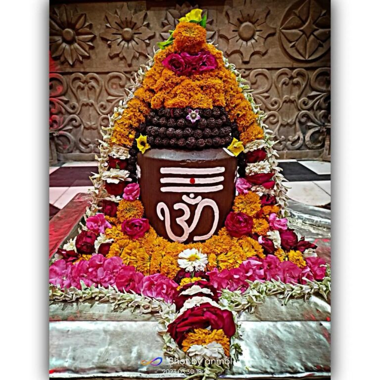 महा शिवरात्रि पर गृहस्थ संत केशव गिरी महाराज के पावन सानिध्य में पटनेश्वर धाम में शिवलिंग निर्माण पवित्र