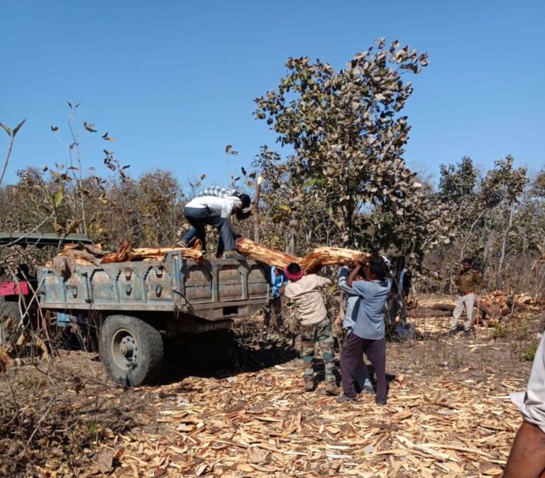 वन विभाग की टीम ने अवैध रूप से संग्रहित खैर की 67 नग लकडी जब्त की
