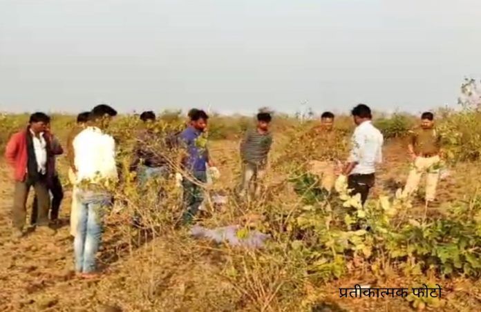 Picsart_25-03-29_09-03-26-653_copy_1000x650