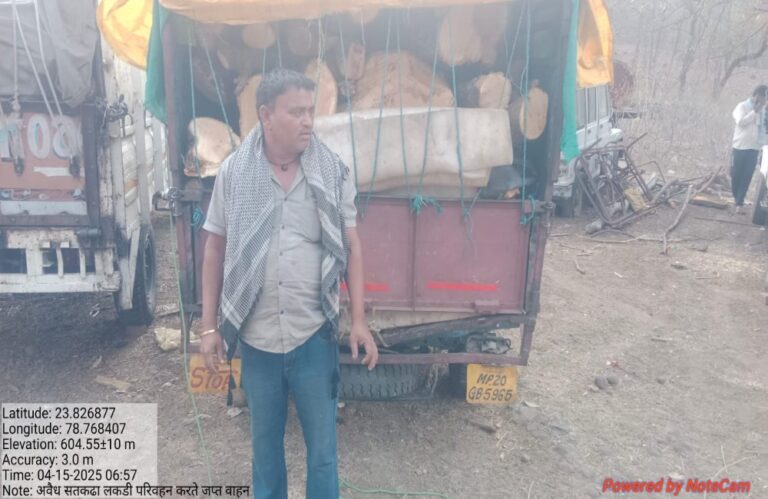 सागर में वन विभाग ने अवैध लकड़ी से भरे तीन पिकअप वाहन जब्त