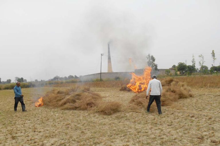 सागर में खेत की नरवाई जलाने पर एफआईआर दर्ज हुई